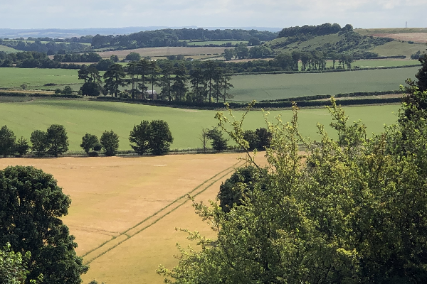 biodiversity and sustainability